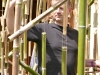 les bambous: préparation
